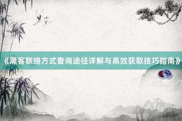 《黑客联络方式查询途径详解与高效获取技巧指南》