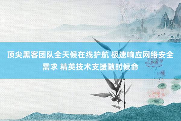 顶尖黑客团队全天候在线护航 极速响应网络安全需求 精英技术支援随时候命
