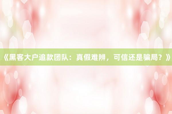《黑客大户追款团队：真假难辨，可信还是骗局？》